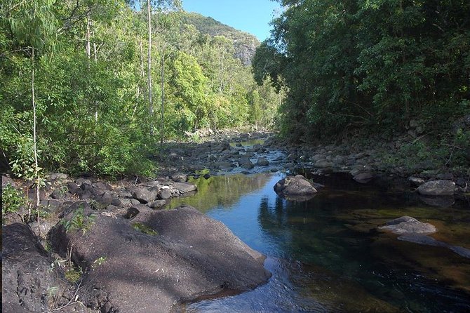 Black River Gorges Forest Hiking, Mauritius - Half Day - Booking Details