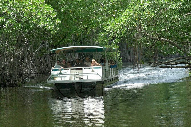 Black River Safari and YS Falls Tour From Montego Bay - Tour Highlights