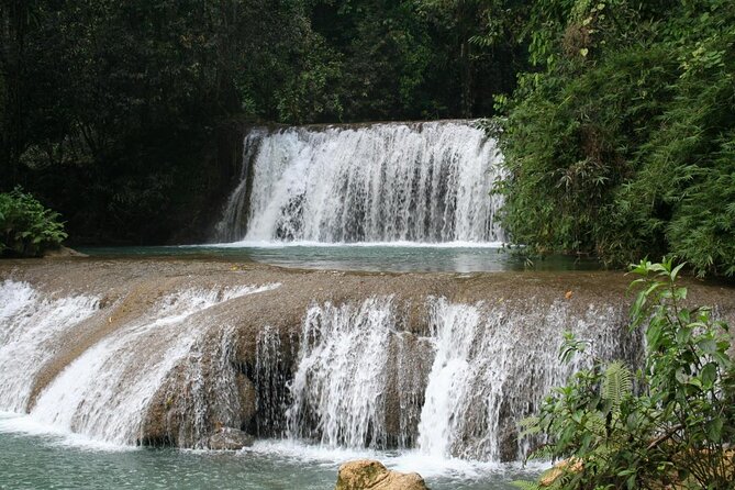 Black River Safari and YS Falls Tour From Montego Bay - Customer Reviews