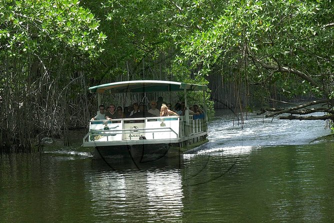 Black River Safari Plus YS Falls Private Tour - Tour Pricing and Booking Details