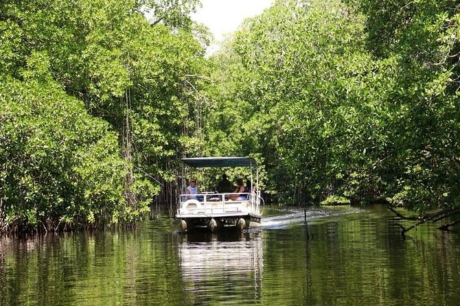 Black River Safari Plus YS Falls Private Tour - Tour Overview