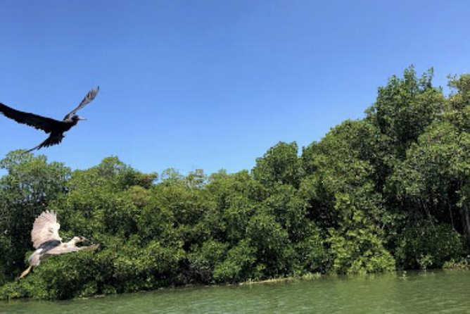 Black River Safari Private Tour - Pricing and Booking Details