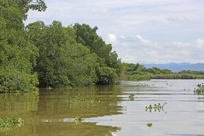 Black River Safari Private Tour - Pricing and Booking Details