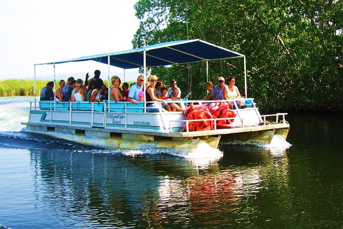 Black River Safari Tour From Kingston - Tour Highlights