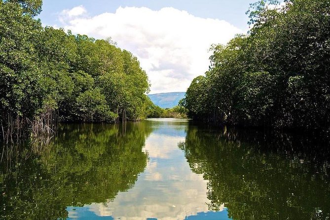 Black River Safari Tour From Kingston - Departure Information