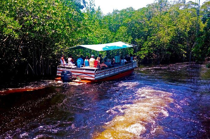 Black River Safari * YS Falls * Appleton Rum Tour - A Detailed Look at the Tour  