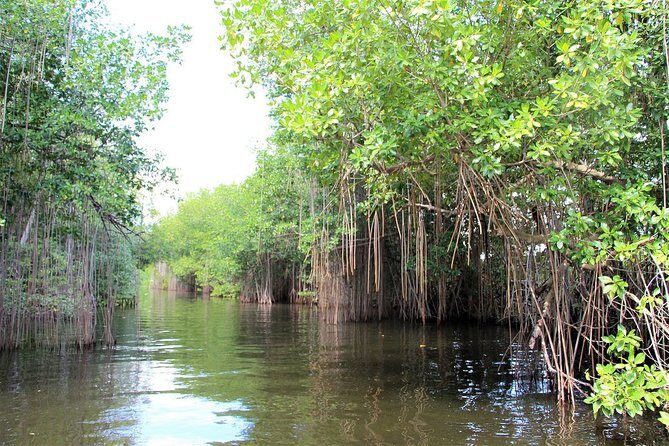 Black River Safari/YS Falls plus Floyd's Pelican Bar Private Tour - FAQs