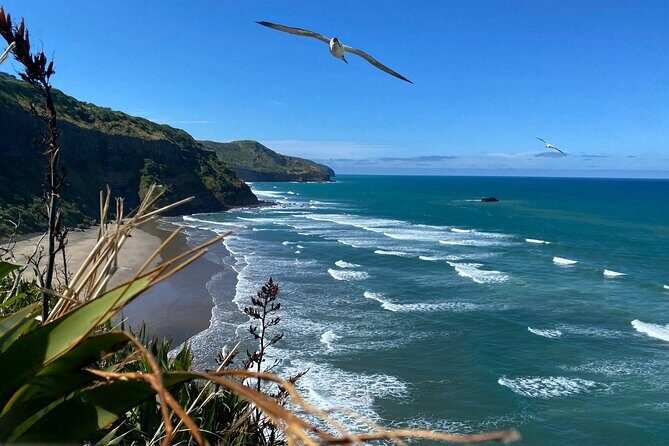 Black Sand Beaches & Birds Auckland Sightseeing Tour - Good To Know