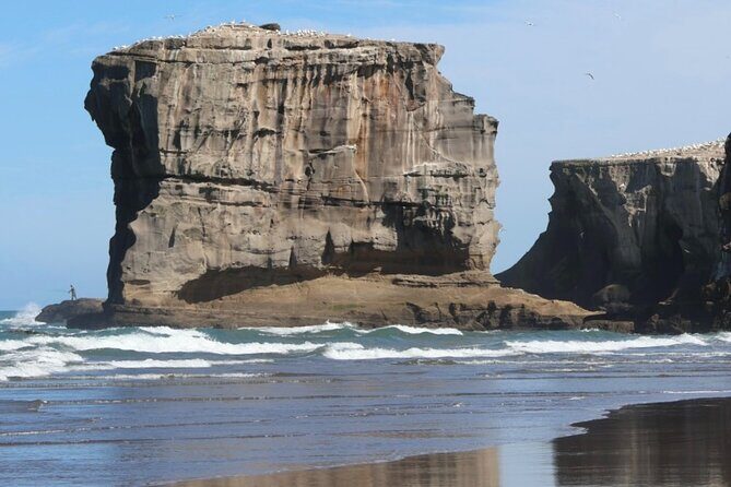 Black Sand Beaches & Birds Auckland Sightseeing Tour - FAQ