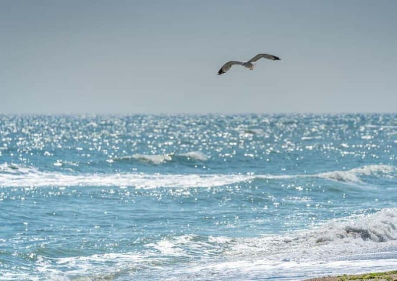 Black Sea Private Tour, Day Trip to Constanta from Bucharest - Good To Know