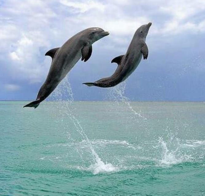 Black Sea Private Tour, Day Trip to Constanta from Bucharest - FAQs