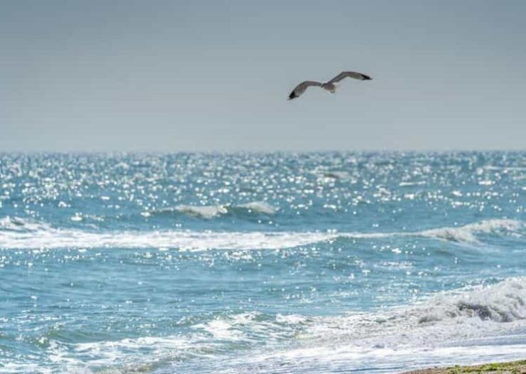 Black Sea Private Tour, Day Trip to Constanta From Bucharest - Key Points