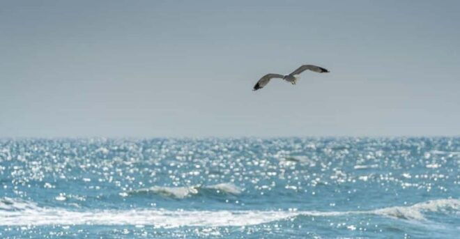 Black Sea Private Tour, Day Trip to Constanta From Bucharest - Geographical Importance of Constanta