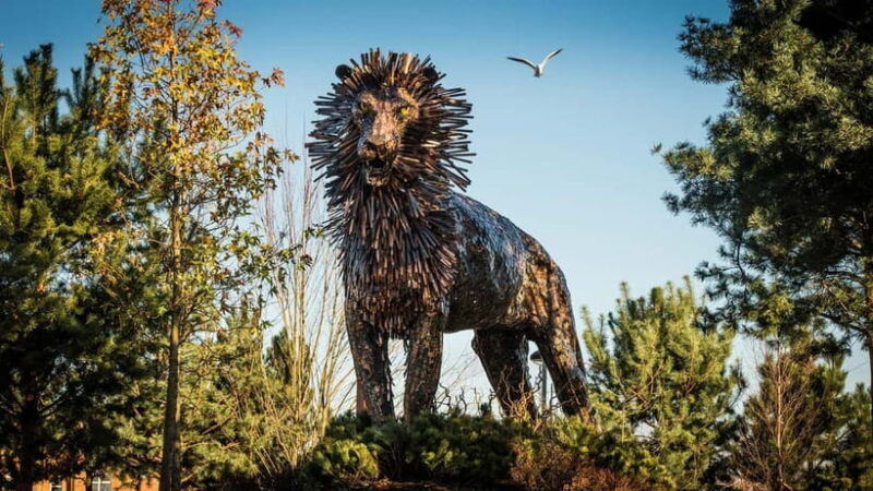 Black Taxi-Style Tour: Murals, Peace Walls & City Highlights - Practical Tips for Booking