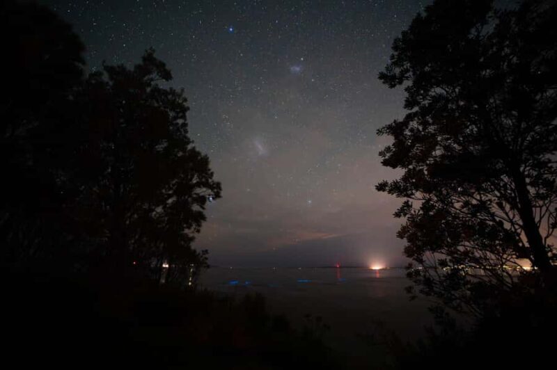 Blackheath: Night Sky Photography Workshop - Blackheath: Night Sky Photography Workshop — An In-Depth Review