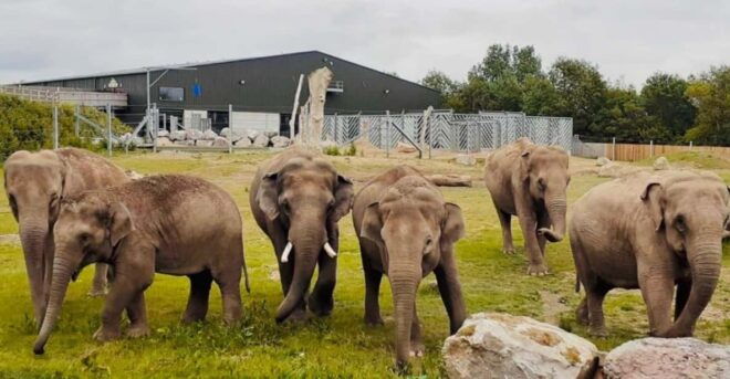 Blackpool: Zoo Admission Ticket - Notable Animal Exhibits