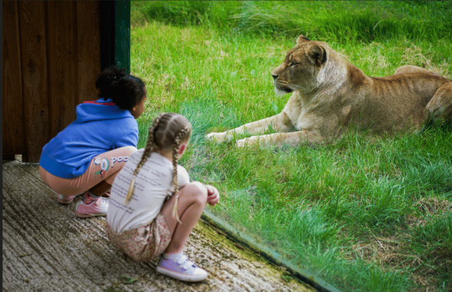 Blackpool: Zoo Admission Ticket - Visitor Ratings and Feedback