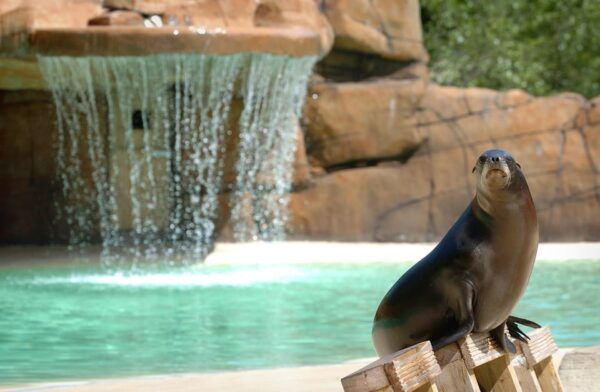 Blackpool: Zoo Admission Ticket - Free Cancellation and Refund