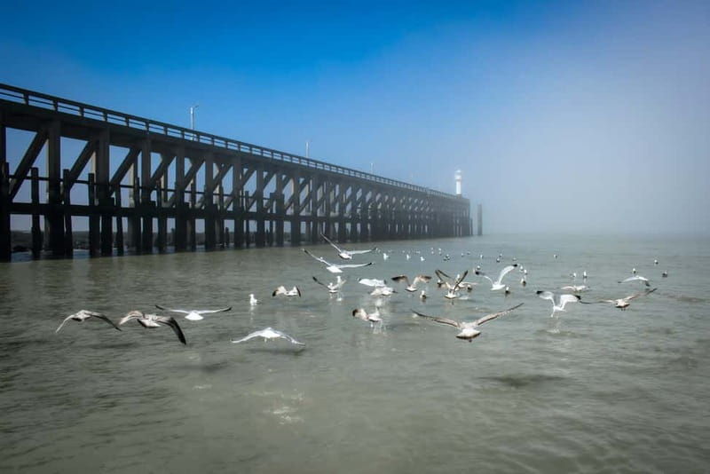 Blankenberge: Offshore Wind Farm Tour by Boat - The Experience on the Water