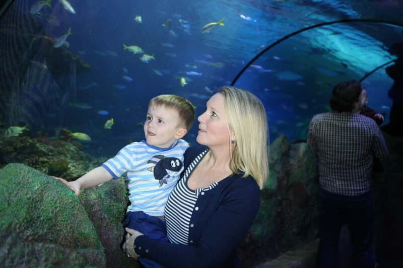 Blankenberge: SEA LIFE Entry Ticket - What to Expect at Blankenberge SEA LIFE