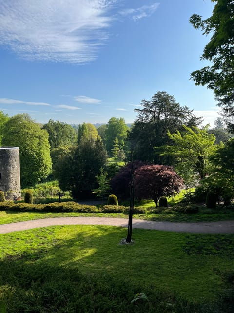 Blarney Castle and Cork City:Private Taxi Tour . - Tour Highlights