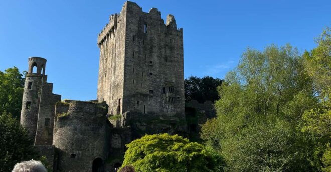 Blarney Castle and Cork City:Private Taxi Tour . - Guided Experience