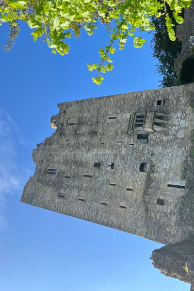 Blarney Castle and Cork City:Private Taxi Tour . - Meeting Point and Accessibility