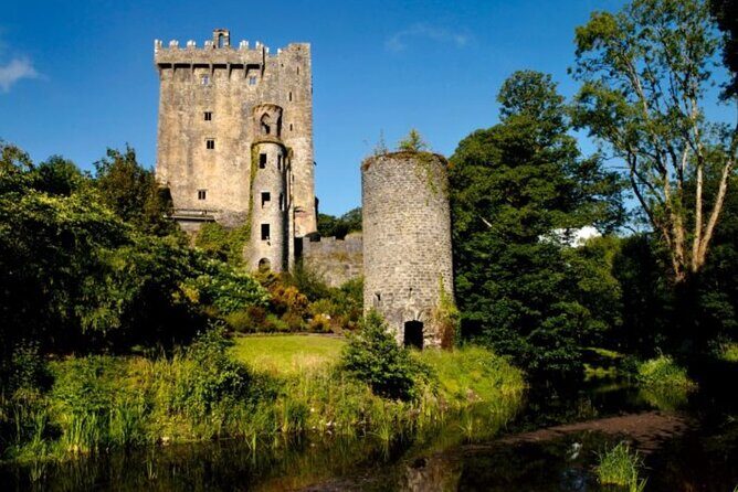 Blarney Castle and The Rock of Cashel with Private Chauffeur Tour - An In-Depth Look at the Tour Experience