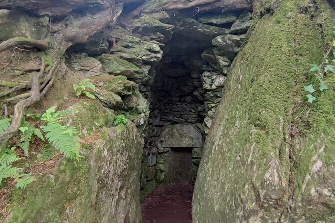 Blarney Castle Cork City and Jameson Distillery Semi Private Tour - Host Responses
