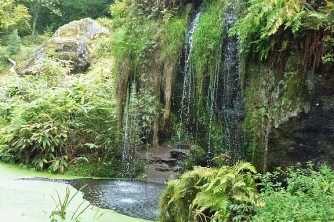 Blarney Castle Cork City and Jameson Distillery Semi Private Tour - The Sum Up