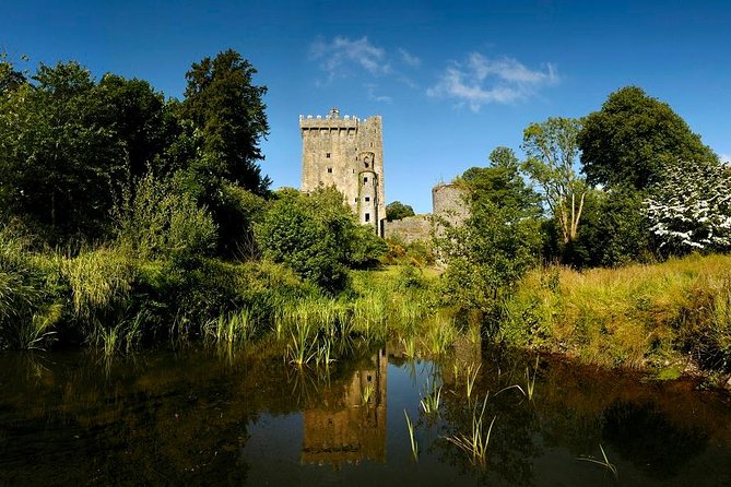 Blarney Castle Day Tour From Dublin Including Rock of Cashel & Cork City - Tour Experience