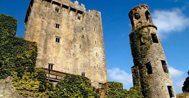 Blarney Castle Full-Day Tour From Dublin - Review Quotes