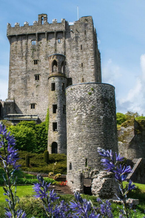 Blarney Castle: Private Guided Day Tour From Dublin - Good To Know