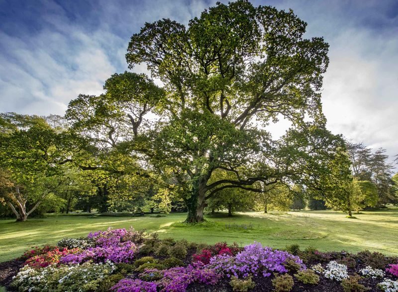 Blarney Castle, Rock of Cashel & Cahir Castle Day Tour from Dublin - Cahir Castle: a fortress with a different feel