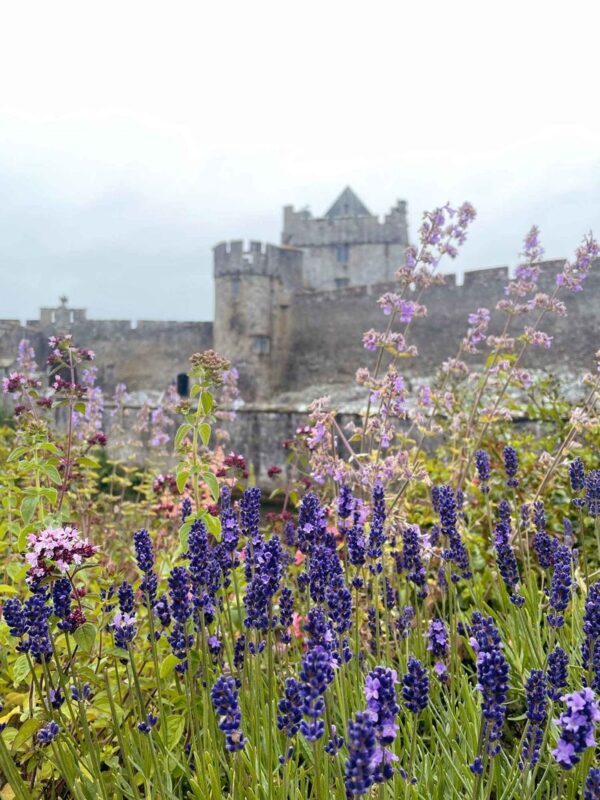 Blarney Castle, Rock of Cashel & Cahir Castle Day Tour from Dublin - Who should book this tour?