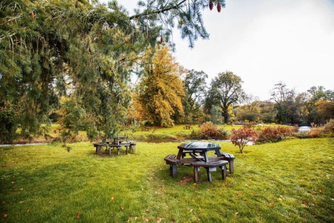 Blarney Castle & Rock of Cashel Private Car Trip From Dublin - Rock of Cashel Experience