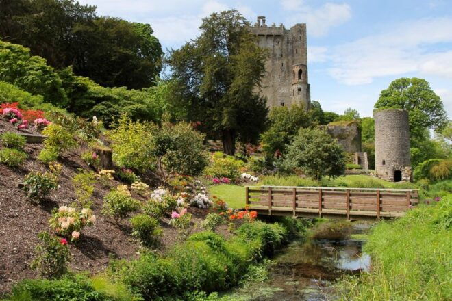 Blarney Castle & Rock of Cashel Private Car Trip From Dublin - Skip-the-line Tickets and Private Car Transfers