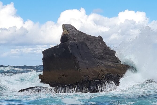 Blasket Island Sea Life Rib Tour, - Inclusions and Meeting/Pickup Details