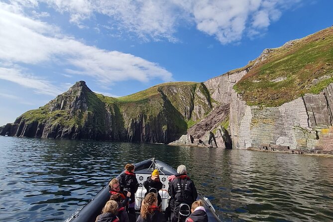 Blasket Island Sea Life Rib Tour, - Tour Experience