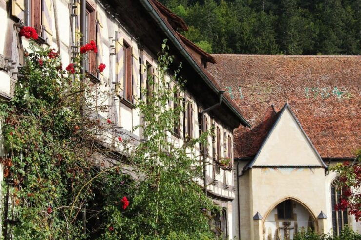 Blaubeuren Private Guided Walking Tour - Key Points