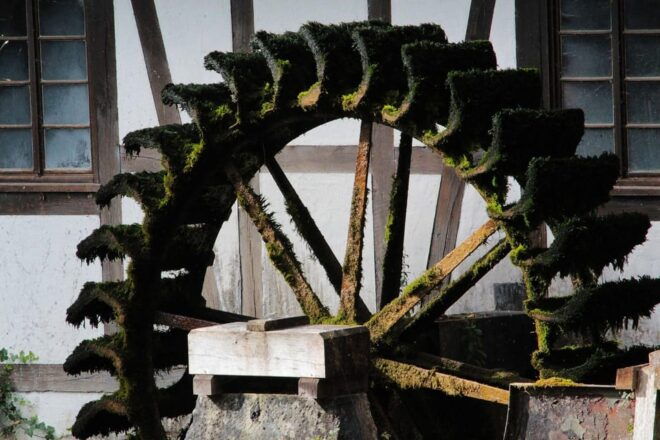 Blaubeuren Private Guided Walking Tour - Unique Experience Features