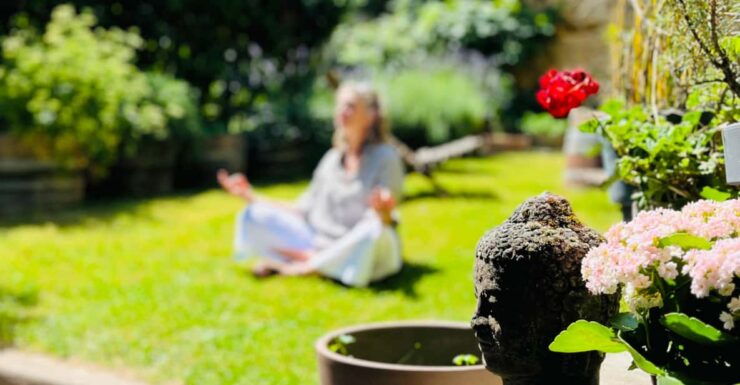 Blaye: Wine Tasting and Meditation Winefulness - Key Points