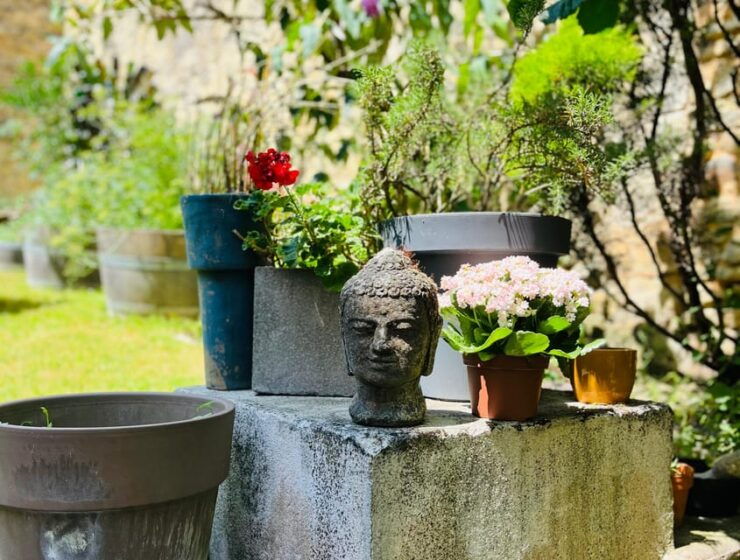 Blaye: Wine Tasting and Meditation Winefulness - Whats Included