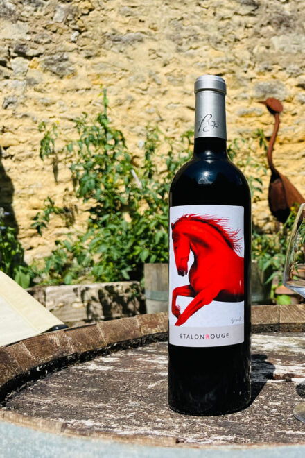 Blaye: Wine Tasting and Meditation Winefulness - Accessibility Features