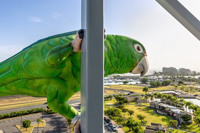 Blazing Bull Zip Line Activity at Toroverde Urban Park San Juan - Cancellation Policy and Weather Considerations