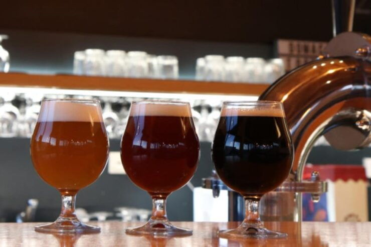 Bled: Craft Beer Tasting Trip - Brewery Presentation and Tasting