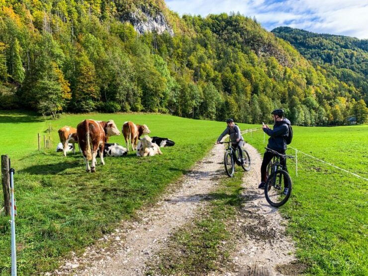 Bled: E-Bike Tour Lake Bled & Triglav National Park Picnic - Activity Information