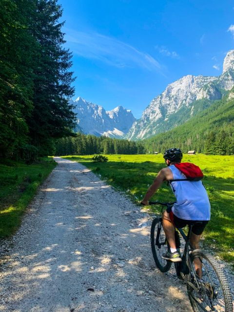 Bled: E-Bike Tour Lake Bled & Triglav National Park Picnic - Highlights