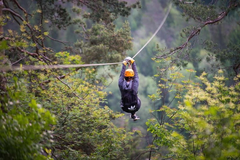 Bled: Europe's Longest Zipline Adventure over Dolinka River - What to Expect from the Zipline Adventure in Bled