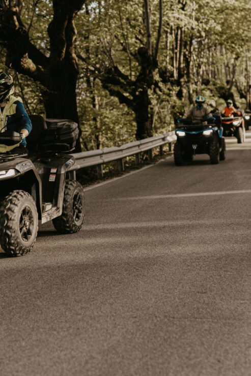 Bled: Full-Day Quad Rental - Good To Know